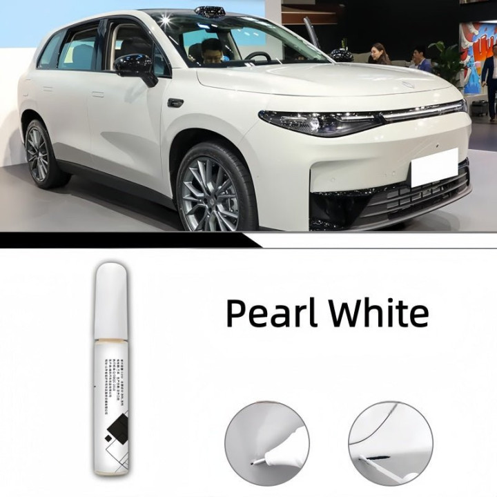 OEM Color Touch Up Paint Pen for Leapmotor C10