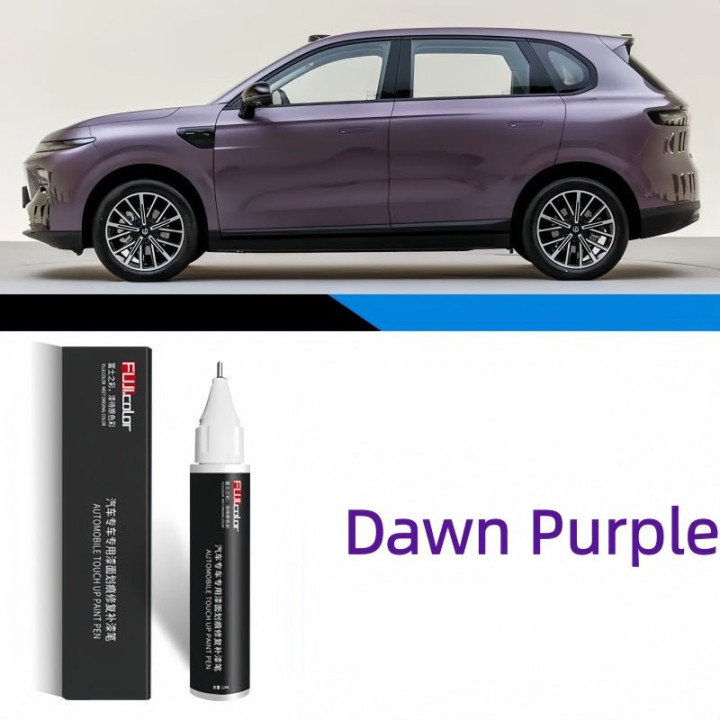 OEM Color Touch Up Paint Pen for Leapmotor B10