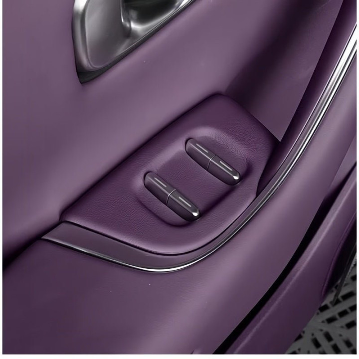 Window Switch Protection Cover for Leapmotor C10