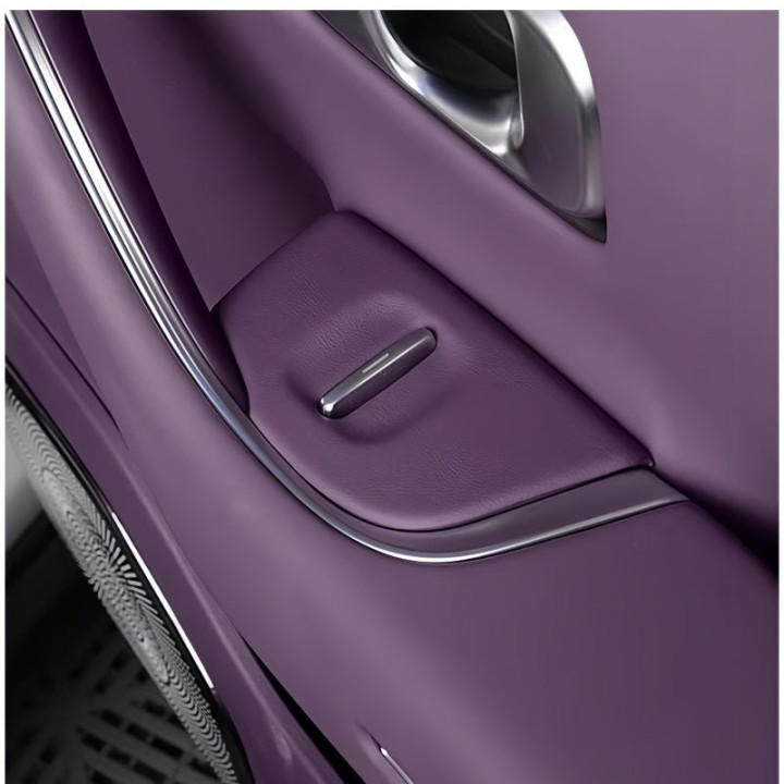 Window Switch Protection Cover for Leapmotor C10
