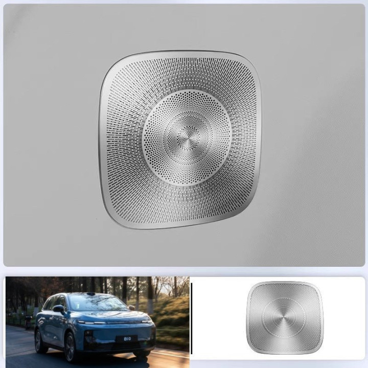 Trunk Speaker Grille Guard for Leapmotor B10/B05