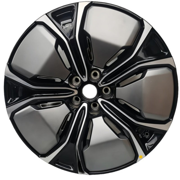 Genuine XPeng 19 & 21 Inch Wheels for XPeng G9