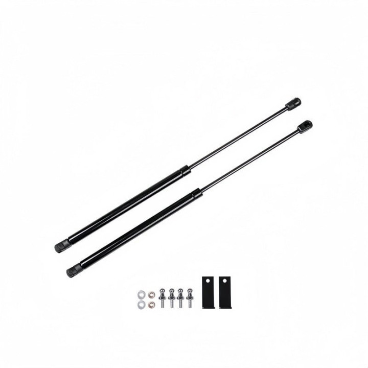 Hood Hydraulic Struts for Leapmotor B10/B05 (Dual Rod)