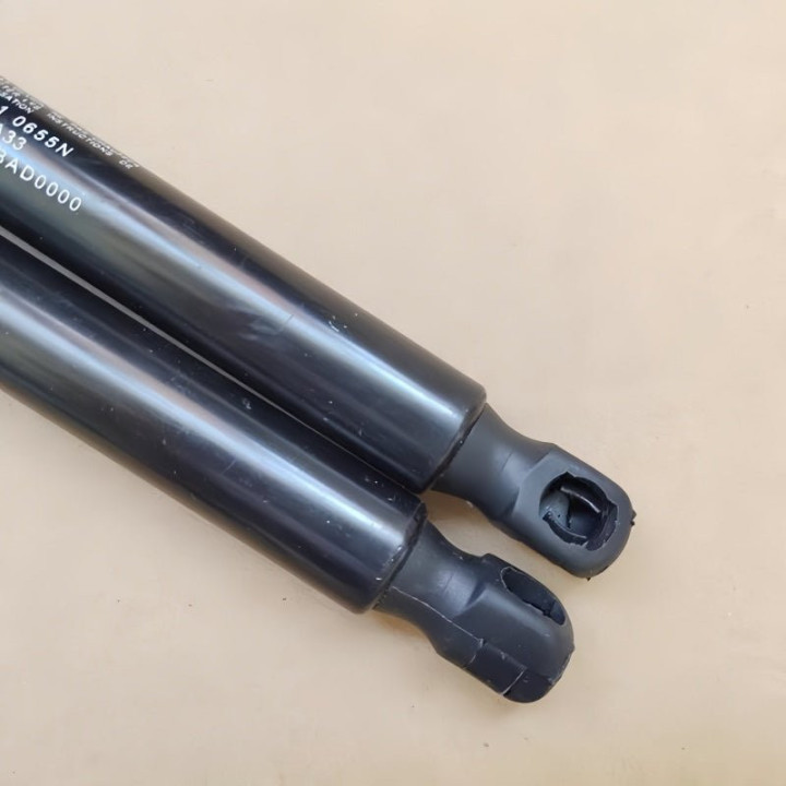 Hood Hydraulic Struts for Leapmotor B10/B05 (Dual Rod)