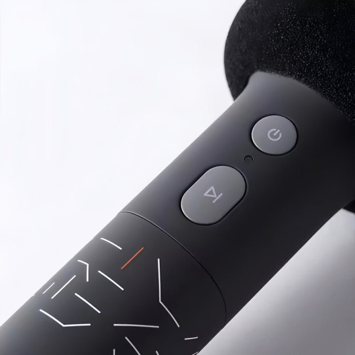 Genuine Zeekr UHF Wireless Microphones (2-Pack)