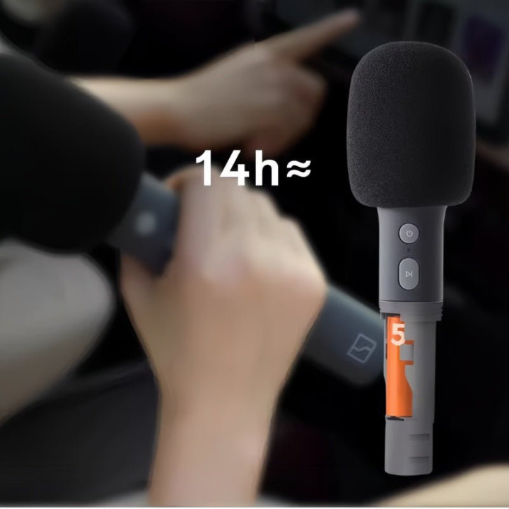 Genuine Zeekr UHF Wireless Microphones (2-Pack)