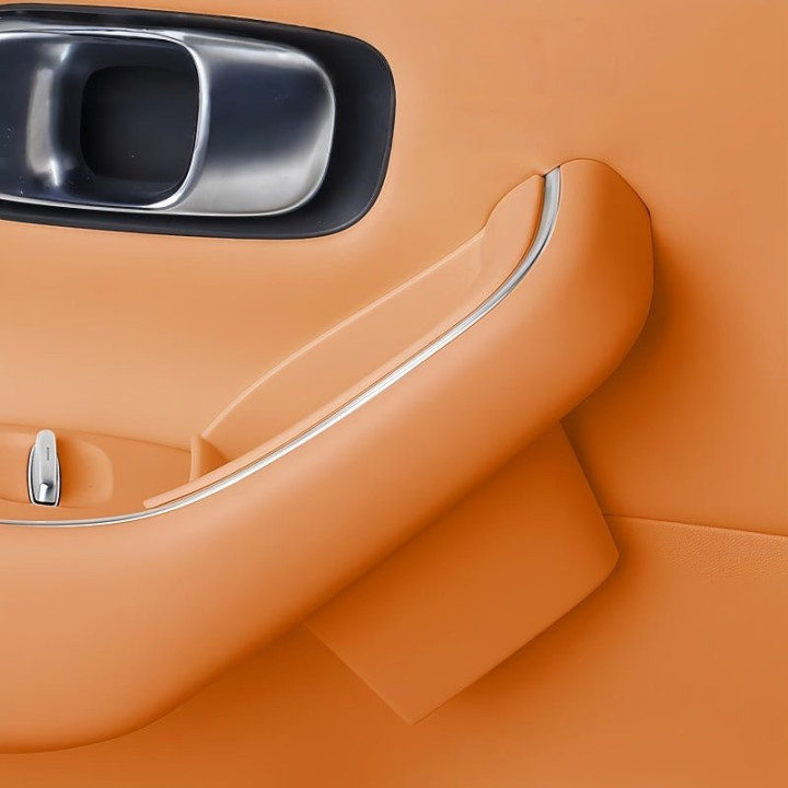Door Handle Storage Tray for Leapmotor C10