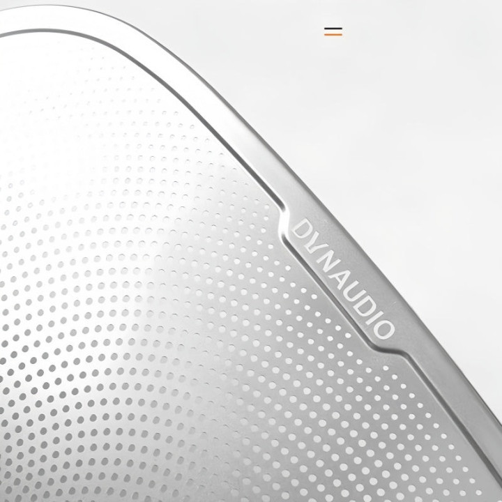 Trunk Speaker Cover for XPENG G6