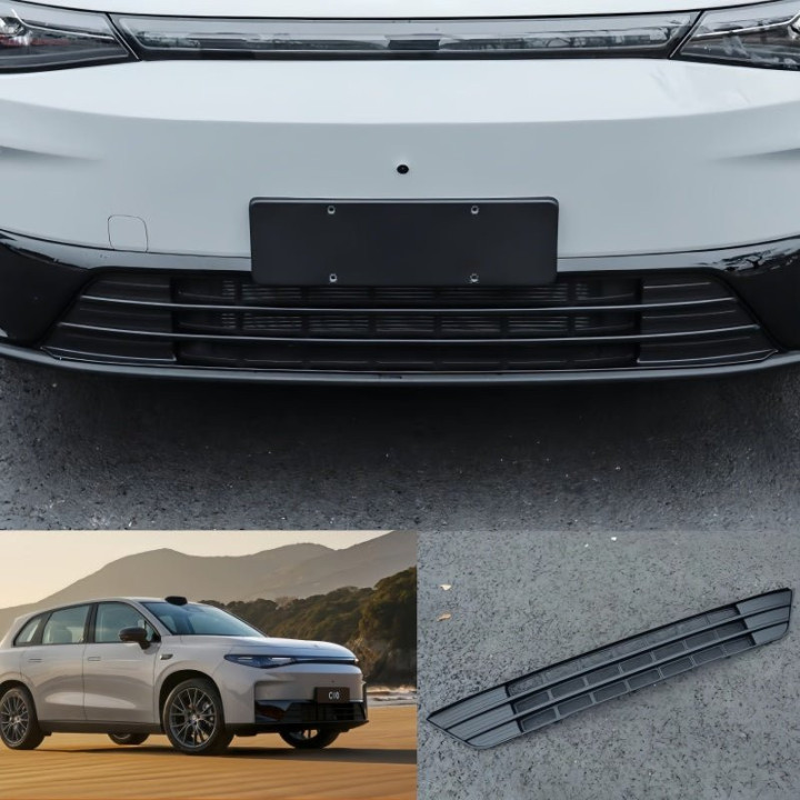 Grille Proof Net for Leapmotor C10