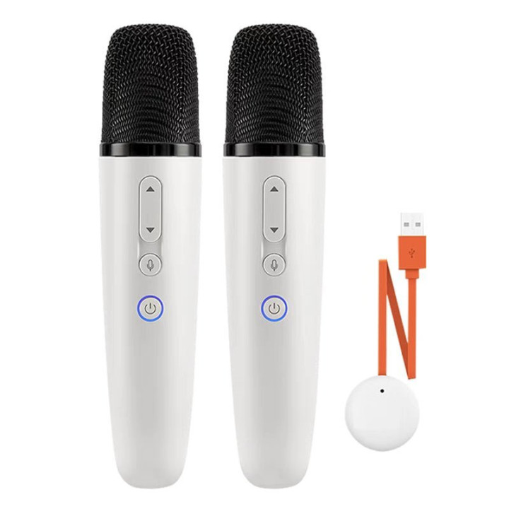 For BYD Wireless Microphone