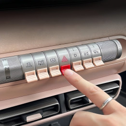 Central Control Button Paddles for BYD Dolphin/Dolphin Surf