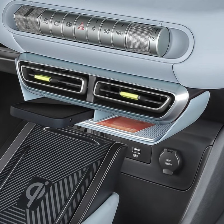 Center Console Storage for BYD Dolphin Surf & Seagull