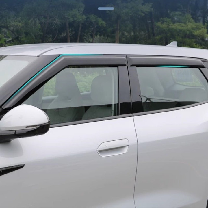Window Visors for BYD ATTO 2（4 Pcs）