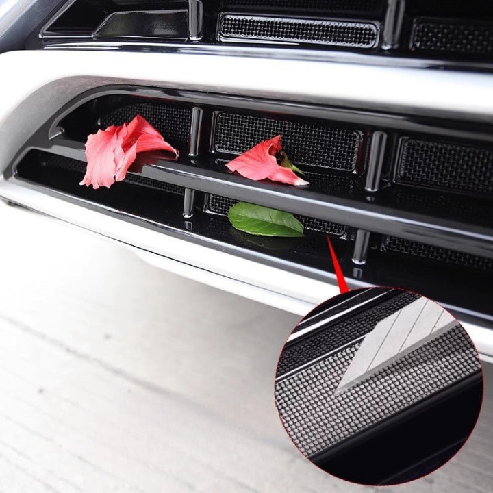 Grille Protection Net for BYD Seal U/Sealion 6