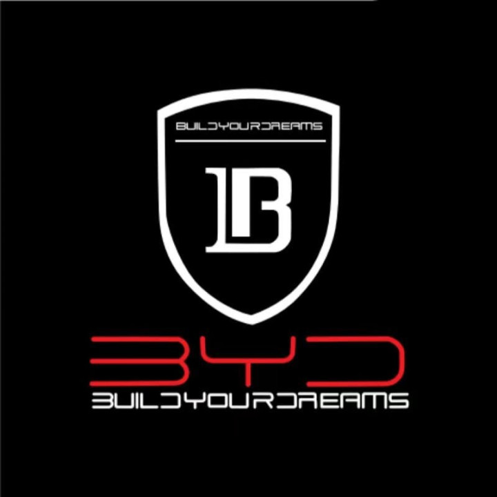 Premium LED Puddle Light for BYD Seal u/Sealion 6