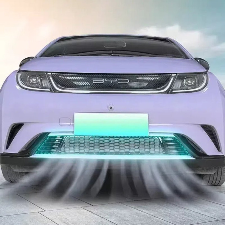 For BYD DOLPHIN Front Bumper Water Tank Pest Control Net