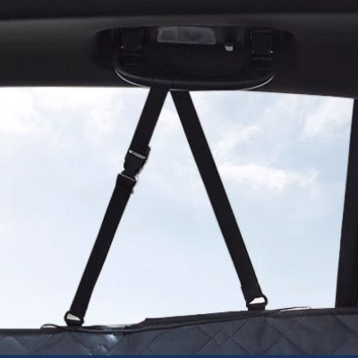Pet Dog Car Seat Protector for BYD Seal/Seal U/Sealion 6
