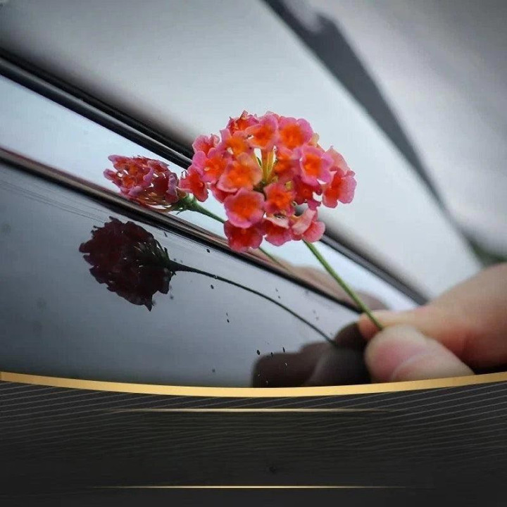 Window Visors for Geely
