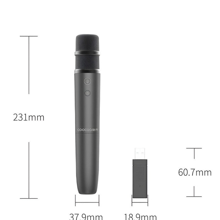 Originales kabelloses Mikrofon für Jaecoo 8 – Bild 3