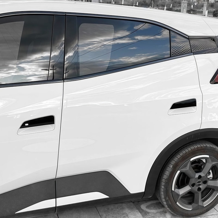 Türgriffabdeckungen Carbon oder Schwarz glänzend für BYD Dolphin Surf – Bild 5