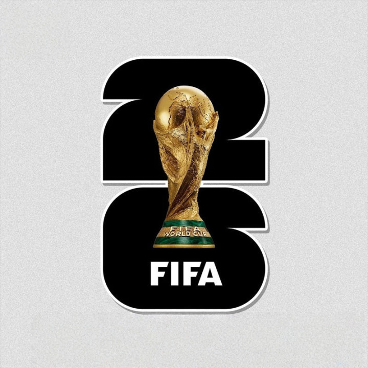 World Cup 2026 Aufkleber in Farbe für BYD – Bild 3
