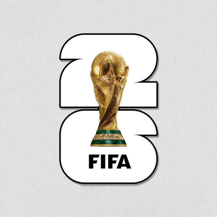 World Cup 2026 Aufkleber in Farbe für BYD – Bild 4