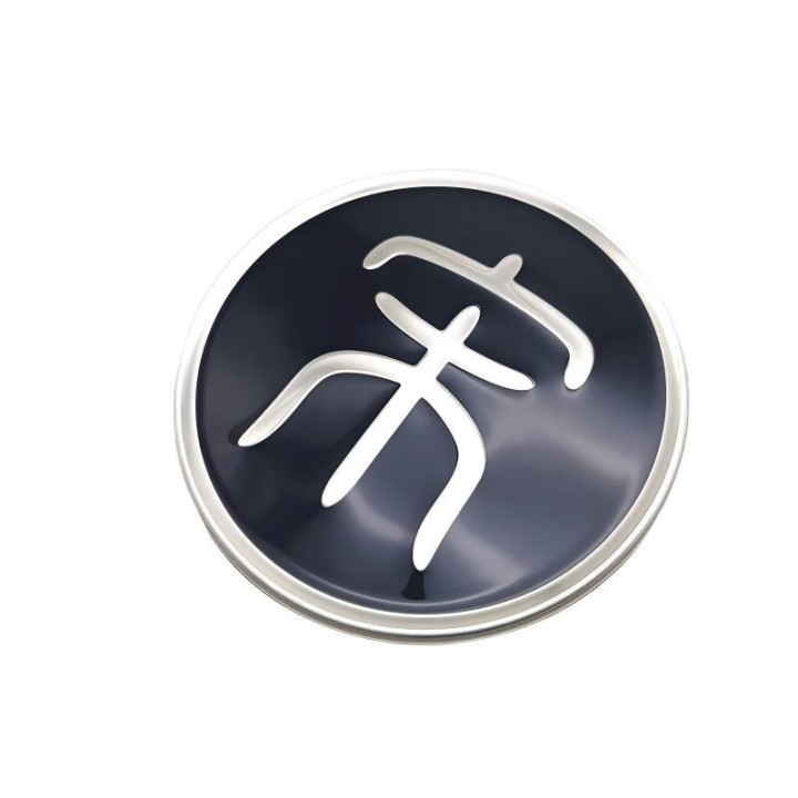 Original-Radkappe für BYD Seal U – Bild 3