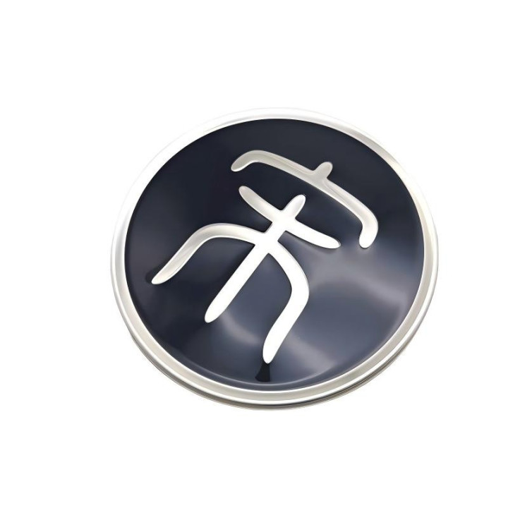 OEM-Radblende 1 Stück für BYD Seal U – Bild 2