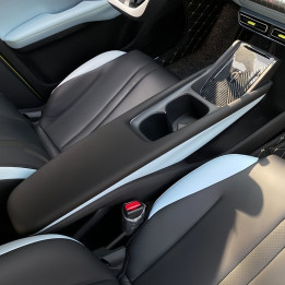 Weiche Armlehnenabdeckung für BYD Dolphin Surf