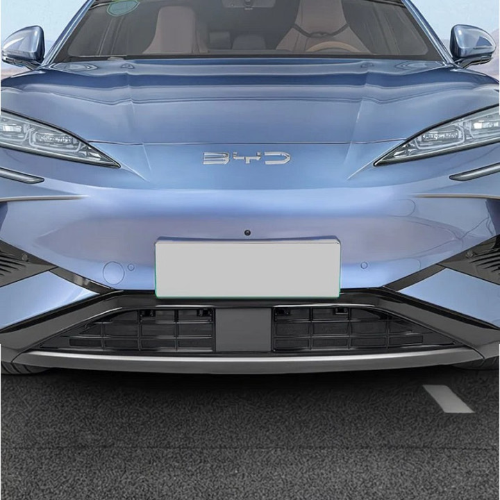 Grill-Schutznetz glänzend oder matt für BYD Sealion 7