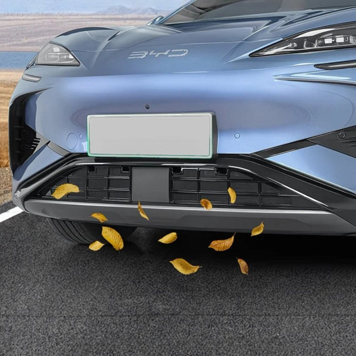 Grill-Schutznetz glänzend oder matt für BYD Sealion 7 – Bild 3
