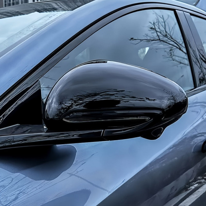 Spiegelkappen Carbon-Optik für BYD Sealion 7
