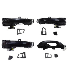 OEM-Türgriff für BYD Atto 3
