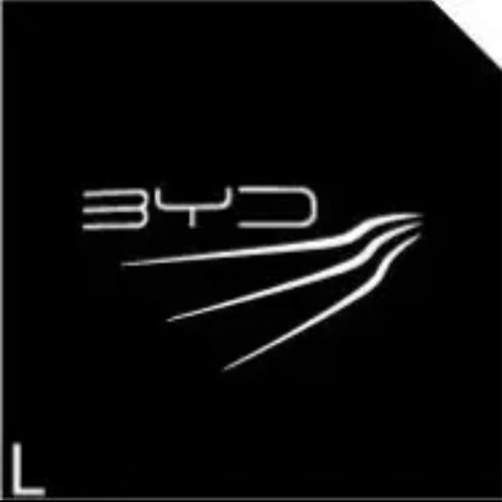 Tür-Willkommensleuchten 12 V für BYD und Denza D9 – Bild 2