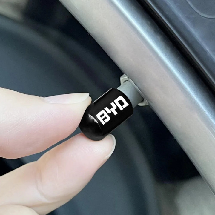 Ventilkappen aus Carbon-Metall für BYD – Bild 14