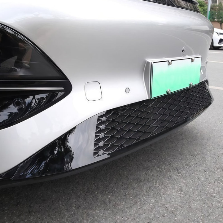 Grill-Schutznetz für Xpeng G6