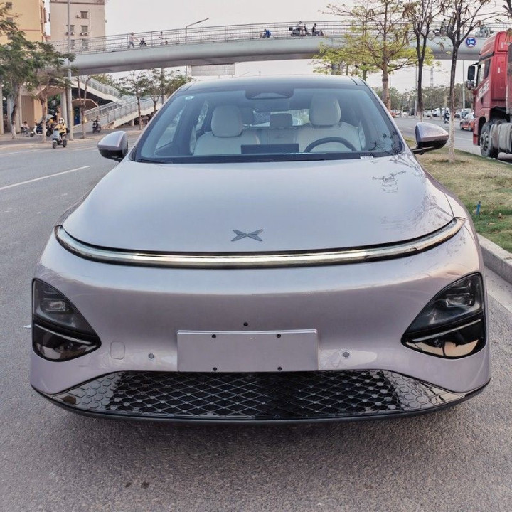 Grill-Schutznetz für Xpeng G6 – Bild 5