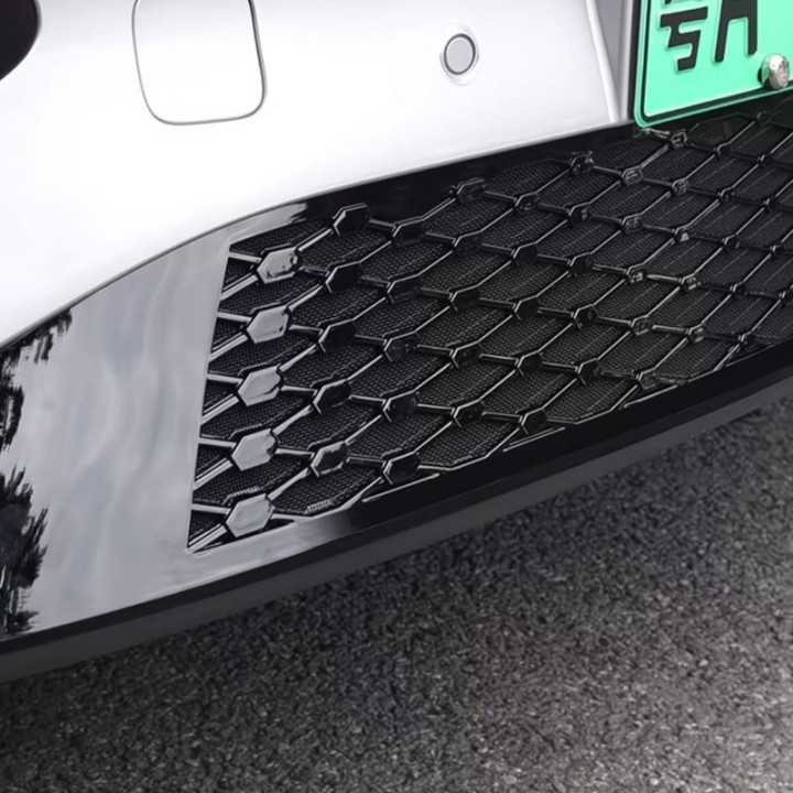 Grill-Schutznetz für Xpeng G6 – Bild 6