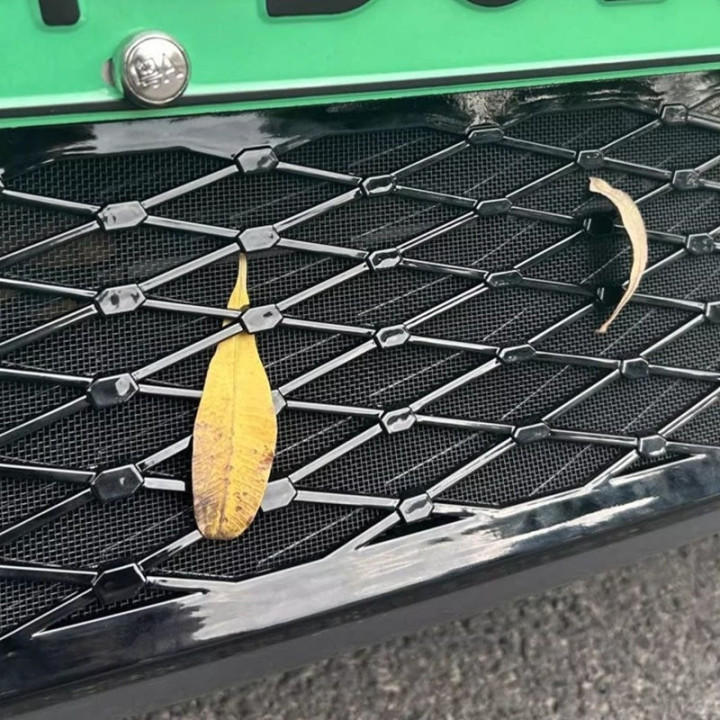 Grill-Schutznetz für Xpeng G6 – Bild 7
